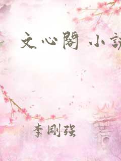 文心阁 小说