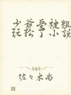 少爷受被粗汉H玩松了小说