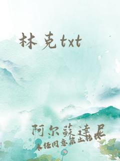 林克txt