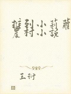 推到小莉萝稚嫩农村小说