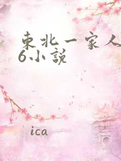 东北一家人1一6小说