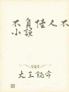 不负佳人不负卿小说