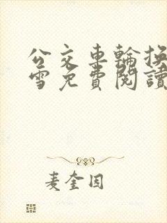 公交车轮换C程雪免费阅读