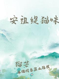 安祖缇猫咪抱抱