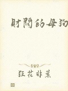财阀的母狗们