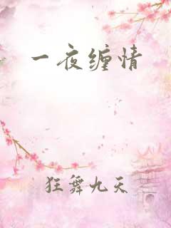 一夜缠情