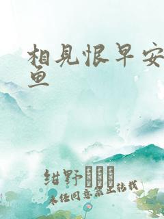 相见恨早安然的鱼