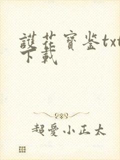 护花宝鉴txt下载