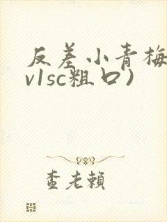 反差小青梅(1v1sc粗口)