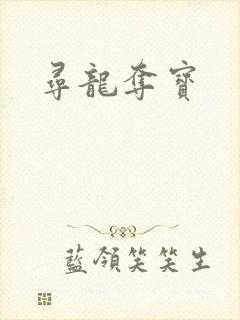 寻龙夺宝