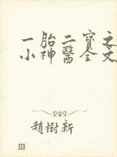 一胎二宝之弃妃小神医全文免费阅读