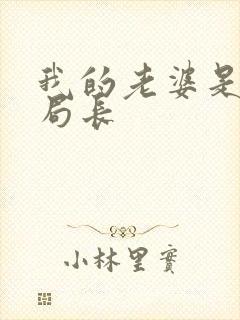 我的老婆是警察局长