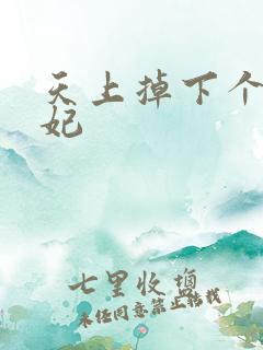 天上掉下个奇王妃