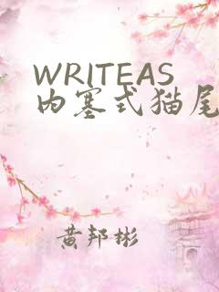 WRITEAS内塞式猫尾