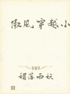 傲风穿越小说吧