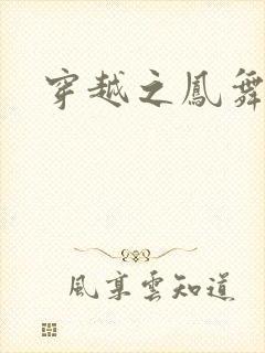 穿越之凤舞天下