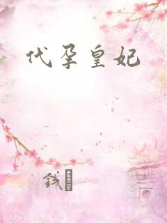 代孕皇妃