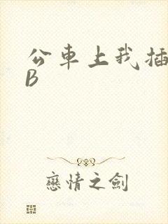 公车上我插上骚B