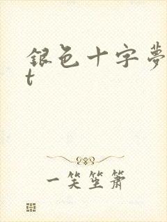 银色十字梦txt