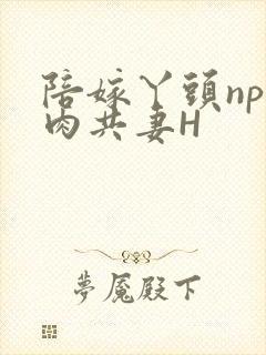 陪嫁丫头np全肉共妻H