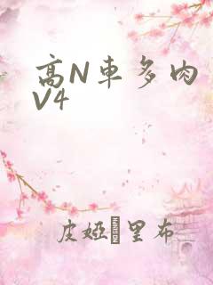 高N车多肉多1V4