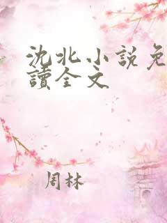 沈北小说免费阅读全文