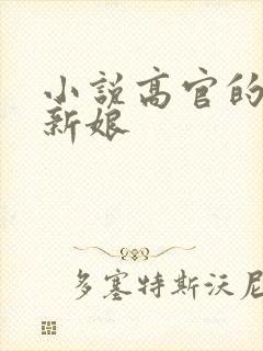 小说高官的暗夜新娘