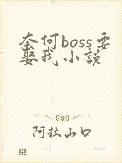 奈何boss要娶我小说