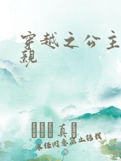 穿越之公主要娶亲