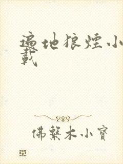 遍地狼烟小说下载