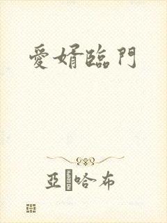 爱婿临门