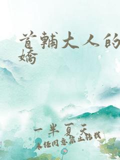 首辅大人的掌心娇