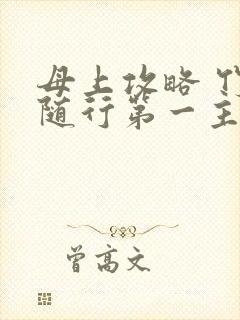 母上攻略 竹影随行第一主板