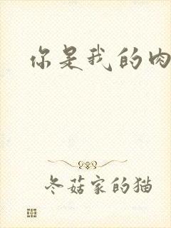 你是我的肉便器