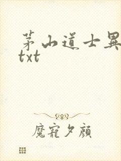 茅山道士异界游txt