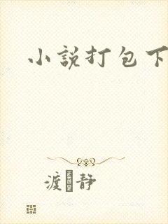 小说打包下载