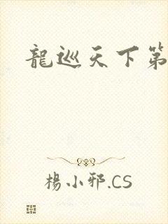 龙巡天下第四部
