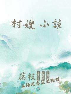 村嫂 小说