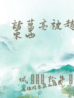 诸葛亮被赵云塞东西