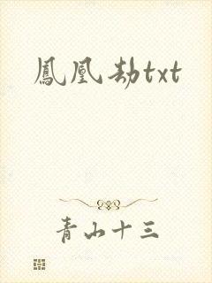 凤凰劫txt