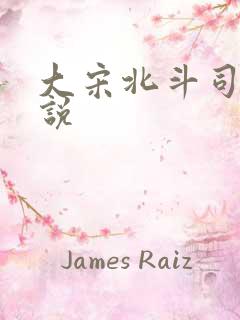 大宋北斗司 小说