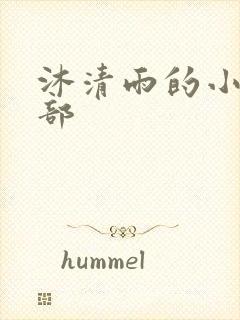 沐清雨的小说全部