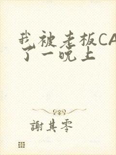 我被老板CAO了一晚上