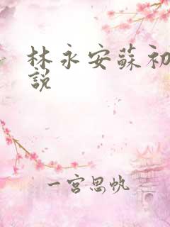 林永安苏初雪小说