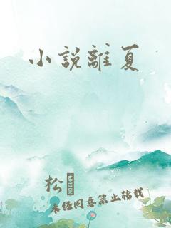小说离夏