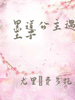 黑道公主遇冷酷王子