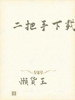 二把手下载