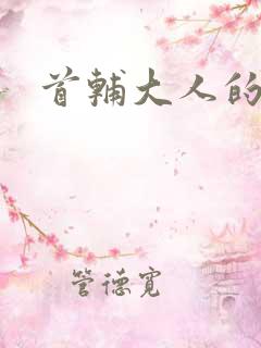 首辅大人的套路