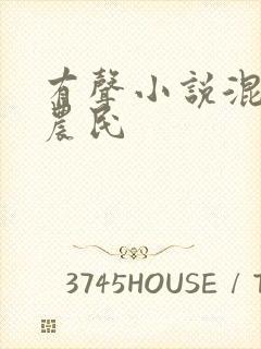 有声小说混世小农民