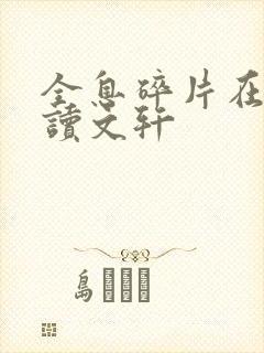 全息碎片在线阅读文轩